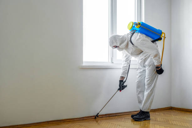 Best Pest Prevention Services  in Etna, PA